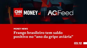 Frango brasileiro tem saldo positivo no "ano da gripe avi�ria"