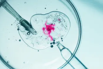 A Fertiliza��o in Vitro ainda � cercada por d�vidas e expectativas irreais