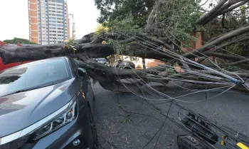 S�o Paulo (SP), 10/12/2025 - Queda de �rvores sobre carros na rua Paula Ney, na Vila Mariana. Foto: Paulo Pinto/Ag�ncia Brasil