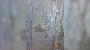 V�deo mostra toneladas de congelados caindo sobre operador de empilhadeira