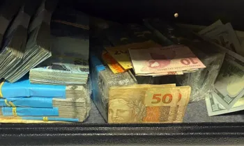 De acordo com a coordenadora do Gaeco, promotora de Justi�a Let�cia Emile Alqueres Petriz, o impacto dessas a��es vai al�m dos n�meros