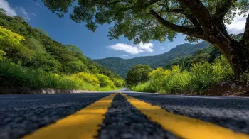 ARTIGO - Dos bandeirantes � supersafra: a voca��o produtiva que moldou o Brasil