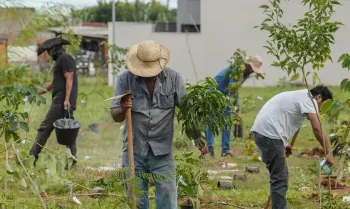 Campo Grande/ MS - 28.03.2026 - Inaugura��o do Bosque da COP15, onde foram plantadas 250 mudas. Foto: Rafa Neddermeyer/ Ag�ncia Brasil