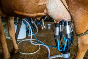 Governo libera R$ 450 milh�es para fortalecer a produ��o de leite na agricultura familiar. (Foto: Divulga��o - MDA)