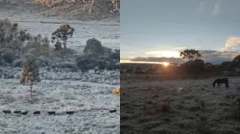 Santa Catarina amanheceu com temperaturas negativas e paisagens cobertas de geada, nesta ter�a-feira (28) Reprodu��o/Defesa Civil Municipal/S�o Joaquim