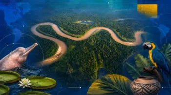 Estudo conclui que � preciso investir na propaga��o da 'Marca Amaz�nia', divulgando como o estado e toda a Floresta Amaz�nica s�o patrim�nios valiosos do Brasil Ilustra��o gerada por IA
