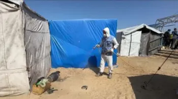 Opera��o contra infec��o de ratos em campos de refugiados na Faixa de Gaza UNTV / REUTERS