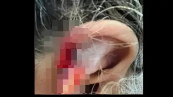 � Reprodu��o