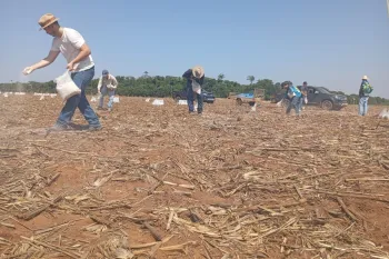 Pesquisas a campo envolvem diferentes doses e t�cnicas de aplica��o. Foto: Assessoria