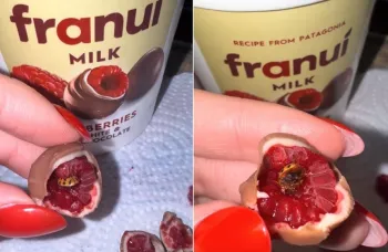 Mulher encontra inseto dentro de doce de framboesa com chocolate Foto: Reprodu��o/TikTok