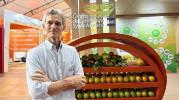Dirceu Mattos Jr, diretor do Centro de Citricultura Sylvio Moreira