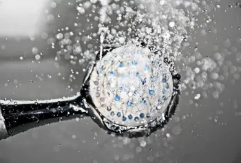 Como limpar chuveiros el�tricos e outros metais do banheiro? Foto: Pixabay
