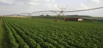 Startup apoiada pelo PIPE-FAPESP prev� disponibilidade h�drica de mananciais para apoiar decis�es em cen�rios de chuvas irregulares (Imagem: divulga��o/Spectrum)