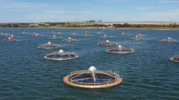 Sistemas circulares de tanques de piscicultura desenvolvidos pela Fisher