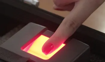 Divulga��o/Tribunal Superior Eleitoral