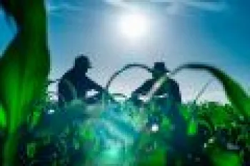 Cooperativas rurais e log�stica reversa de embalagens de agrot�xicos