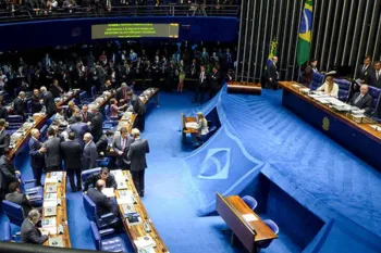 Bandeira do Brasil � desenhada toda semana por servidor da Casa (Foto: Reprodu��o)