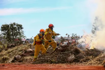 Defesa Civil realizou treinamento em v�rios munic�pios para preparar brigadas e agentes para combate ao fogo. Foto: Divulga��o/Governo de SP