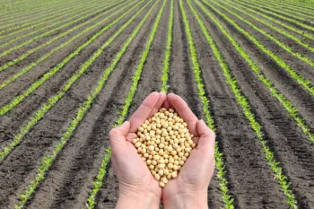 Imagem mostra pessoa com sementes de soja nas m�os. (Foto: Minist�rio da Agricultura e Pecu�ria)