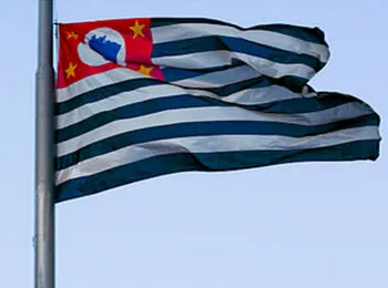 Bandeira do estado de S�o Paulo. Reprodu��o