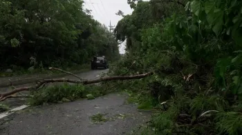 Apag�es e destro�os espalhados marcam a passagem do tuf�o Bavi pela ilha de Ishigaki, no Jap�o - Reuters