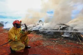 O uso do fogo para limpeza de terrenos precisa de autoriza��o formal da CETESB. Foto: Divulga��o/Governo de SP