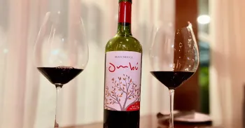 Entre as uvas tintas, a Cabernet Sauvignon consolidou-se como a principal companheira da Tannat. Divulga��o