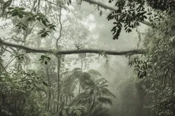 'Imagem pitoresca pelo Brasil' | Cr�dito: C�ssio Vasconcellos
