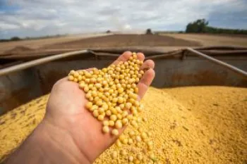 Sementes de soja tratadas industrialmente