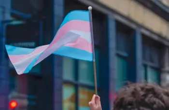 Bandeira trans