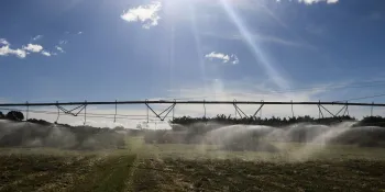 Planta��o de Caf� na Embrapa Cerrado - Valter Campanato/Ag�ncia Brasil