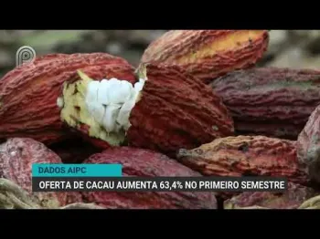 Aipc aponta alta de 63,4% no recebimento de cacau no 1� semestre