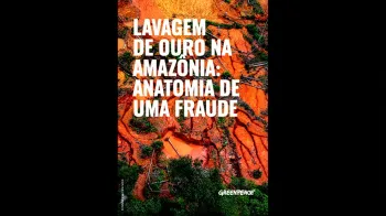 Greenpeace Brasil