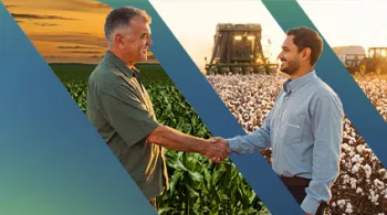 Parceria no campo entre agricultores