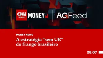Italo Bert�o Filho