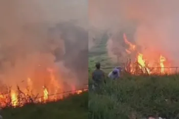 INCENDIO VEGETACAO.jpg