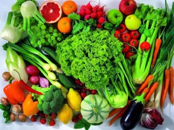 Alimentos da esta��o