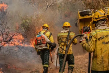 Em julho deste ano, MT registrou o menor n�mero de focos de calor em 28 anos. Foto: Augusto Dauster/Ibama
