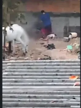 Homem foi flagrado agredindo cachorro - Reprodu��o/Rede Social