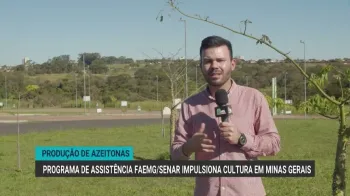 Reprodu��o/YouTube