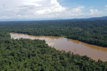 Ibama abre edital para credenciar projetos de recupera��o ambiental Foto: Ibama