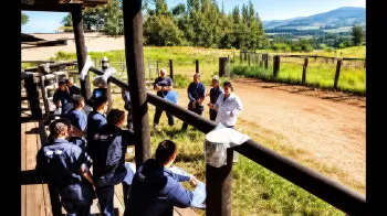 Programa conecta ci�ncia aplicada � rotina do campo com a forma��o de multiplicadores de conhecimento na pecu�ria brasileira (Ajustada por IA)