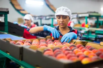 MEIs, Micro e Pequenas Empresas aguardam decis�o do Copom sobre a Selic. Foto: Shutterstock