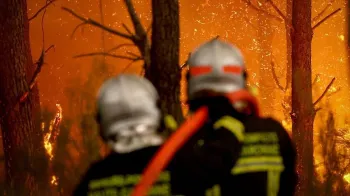 Dois bombeiros direcionam uma mangueira em uma floresta em chamas a cerca de 30 km de Bordeaux, em 26 de julho de 2026.
