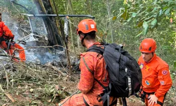 Bombeiros localizaram a aeronave em uma �rea de mata de dif�cil acesso; opera��o mobilizou cerca de 40 militares - Divulga��o / Corpo de Bombeiros do Rio de Janeiro