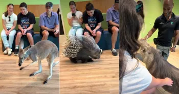 Zool�gico de Nova York oferece encontro 'cara a cara' com animais Foto: Reprodu��o/Instagram