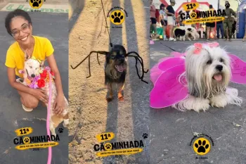 C�es usam fantasias durante desfile da 11� C�ominhada, em C�ceres. - Foto: Reprodu��o/Instagram