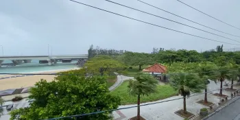 �rvores balan�am com ventos fortes enquanto o tuf�o Dolphin se aproxima em Naha, Okinawa, Jap�o. Foto: SleepdeeplyGG/X via REUTERS