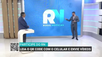 Imagem ilustrativa sobre seca no Nordeste
