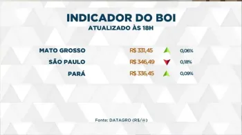 Boi gordo atinge pre�os acima de R$ 330 no Brasil